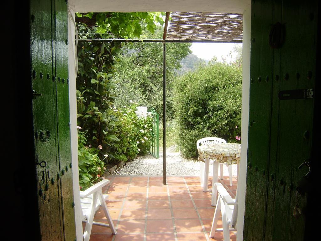 Gasthaus Casa Anita - La Almona Chica El Chorro Zimmer foto